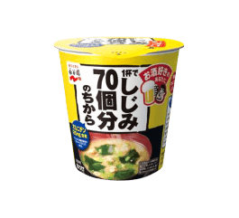 カップ味噌汁